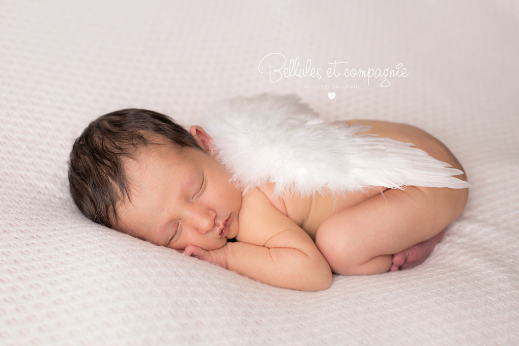 newborn posing petit ange