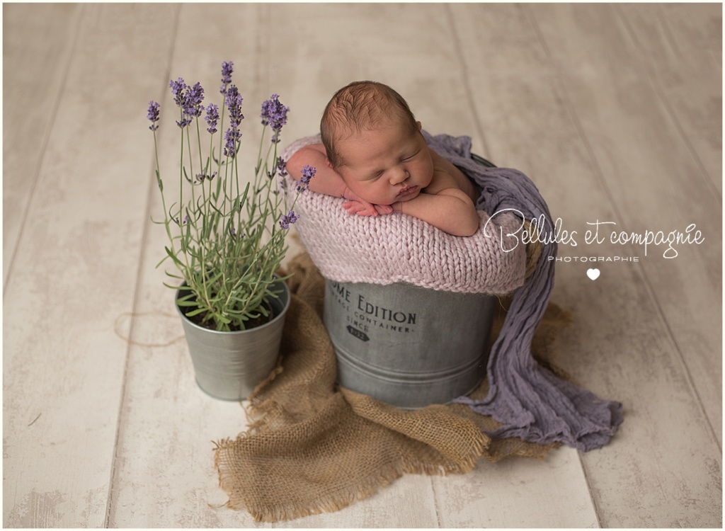 photographe naissance clermont Iris lavande