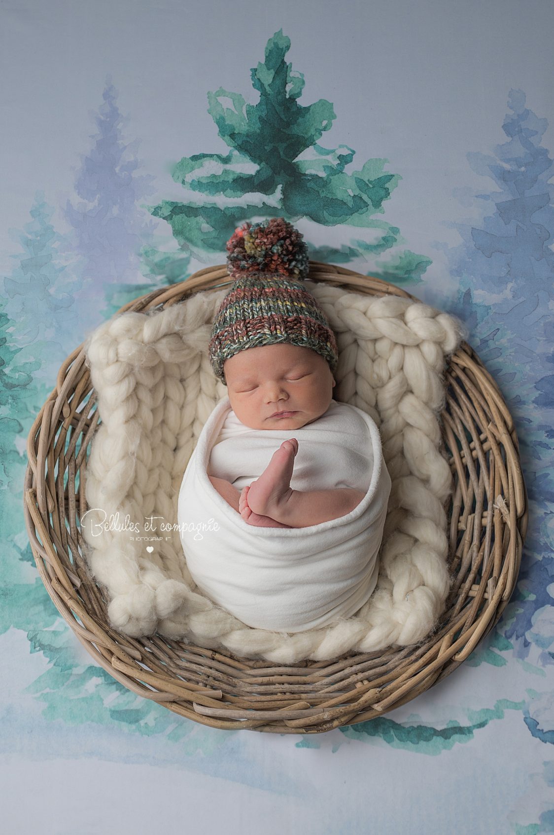 Nouveau-né dans panier thème montagne en séance naissance par photgraphe Bellules et Compagnie alentours de Clermont-Ferrand